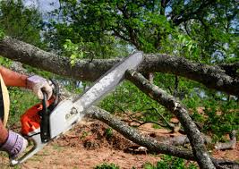 Mulching Services in College Station, TX